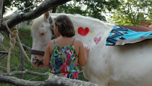 Kinderzirkus –  mit Pferden 